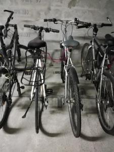 a group of bikes parked next to each other at Location d Armelle - Moliets in Moliets-et-Maa