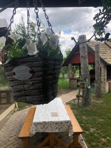 Vonkajšia záhrada v ubytovaní Salaš Gnijezdo