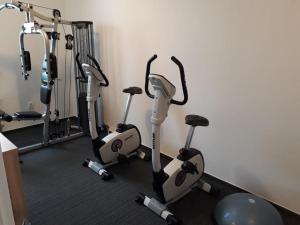 The fitness centre and/or fitness facilities at Studio Marek