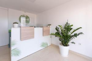 卡门港Apartamentos Flamingo的相册照片