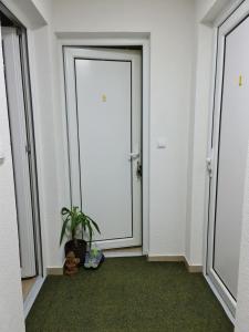 Mynd úr myndasafni af Divcibare apartmani Gavrić í Divčibare