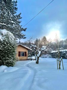 un patio cubierto de nieve con una casa y un árbol en Sielankowy domek w górach, en Bielsko-Biala