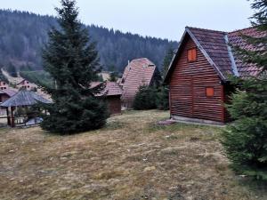 Příroda nedaleko apartmánu