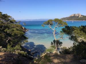 科洛布里埃La Petite Bergerie, Les Hautes Roches的一片水体和一棵树的景色