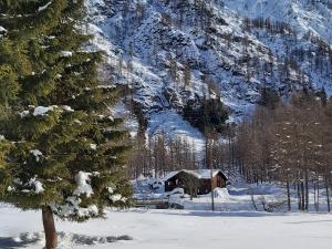 Chalet Rosa dei Monti