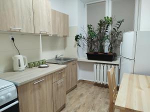 Kuchyňa alebo kuchynka v ubytovaní Apartament - Zielone Podlasie
