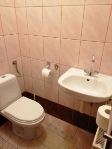 a bathroom with a toilet and a sink at Alfa 2 apartament 4 in Bystra
