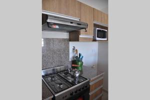 a kitchen with a stove and a microwave at La Amada in Puerto Madryn