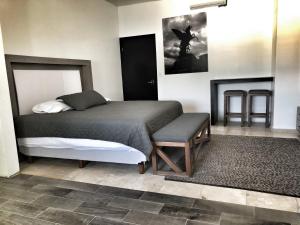 - une chambre avec un lit et une cheminée dans l'établissement 11 Suite Grande Para 4 Personas con Factura, à Torreón