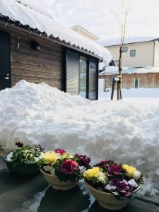 two pots of flowers sitting on a pile of snow at B&B Neagari in Nomi