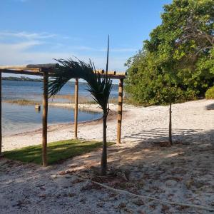 a palm tree on a beach with a wooden structure at Casa da Lagoa Azul - Tambaquis - Abaís in Estância