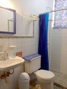 ein Bad mit einem WC, einem Waschbecken und einer Dusche in der Unterkunft Departamento completo a pasos de Santa Lucia mty in Monterrey