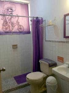 baño con aseo y cortina de ducha púrpura en Departamento completo a pasos de Santa Lucia mty, en Monterrey