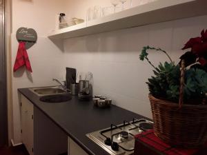 una cucina con piano cottura e lavandino con pianta di Cocooning in a Lovely Mountain suite - One ad Azuga