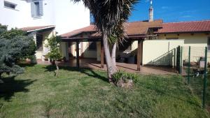 a house with a palm tree in the yard at Casetta Gaia in Latina