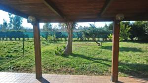 a porch with a view of a field with a tree at Casetta Gaia in Latina