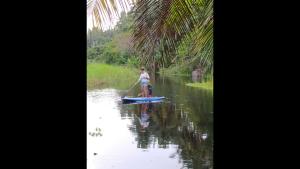 un hombre en una tabla de paddle en el agua en Room in Lodge - Method Living Tropical Edition, en Cabarete