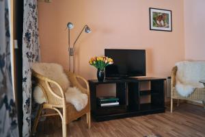 een woonkamer met een tv en 2 stoelen bij Drei Jahreszeiten in Bredsatra