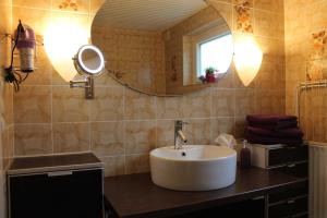 a bathroom with a sink and a mirror at XXS Appartement Junghans in Silberstedt