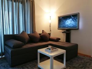 TV a/nebo společenská místnost v ubytování apartman-maja-krk