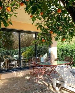 a table and a chair under an orange tree at Les Sarments in Le Lavandou