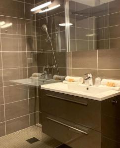 La salle de bains est pourvue d'un lavabo et d'une douche. dans l'établissement Les Sarments, au Lavandou