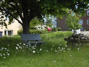a park bench sitting in the grass under a tree at Haus-Nordseemelodie-Wohnung-4 in Wittdün +3 photos