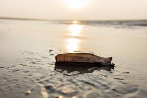 an object in the water on the beach at Haus-Nordseemelodie-Wohnung-4 in Wittdün