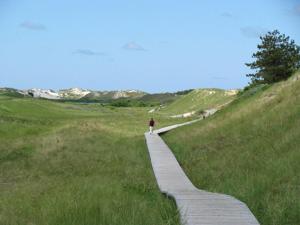 a person walking on a path in a field at Ferienhaus-Heisser-Sand-Whg-2 in Wittdün +3 photos