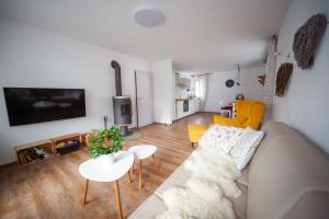 TV a/nebo společenská místnost v ubytování Cozy Nest in the heart of Kranjska Gora