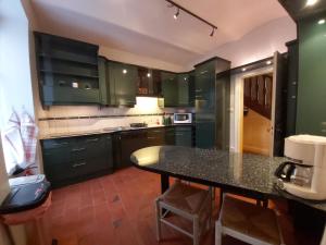 VerneuilLe Gîte de l Andarge的厨房配有绿色橱柜和黑桌