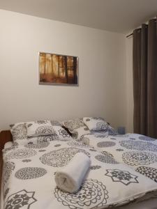 Postel nebo postele na pokoji v ubytování Family apartmán Kovářská