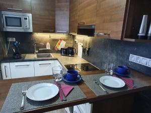 Kuchyň nebo kuchyňský kout v ubytování Family apartmán Kovářská