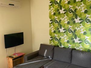 TV a/nebo společenská místnost v ubytování Apartments Nešić Peroj