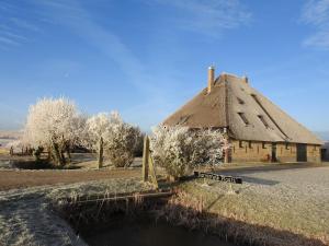 a building with a thatched roof next to a pond at Zoute Bries, in Natuurgebied en vlakbij het Strand in Callantsoog