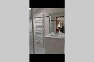 een badkamer met een wastafel en een spiegel bij Appartement F2 proche La Bresse in Basse-sur-le-Rupt