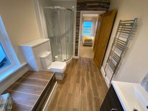 a bathroom with a shower and a toilet at Noddfa Farm Guest House in Haverfordwest
