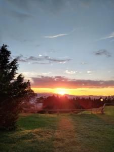 a sunset in a field with a dirt road at Pousada Das BergHaus Turismo Rural e Cervejeiro in Extrema