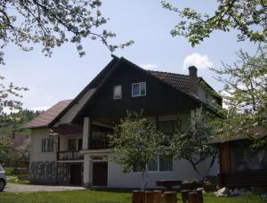 a house with a black roof at Pensiunea Luminita in Bran