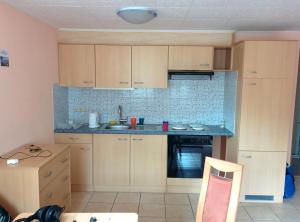 Kuchyň nebo kuchyňský kout v ubytování Apartment Robert