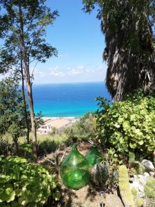 ザンブローネにあるLa Casa dell'Olmoの海辺の芝生に座る緑のガラス花瓶