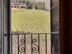 a view of a vineyard from a window at Agriturismo Tenuta Adamo in Lucca