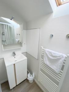 a white bathroom with a sink and a toilet at ALBIAPPART(2) in Albi