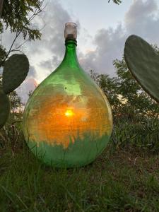 ザンブローネにあるLa Casa dell'Olmoの草に座る緑のガラス瓶