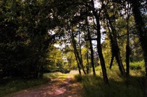 Photo de la galerie de l'établissement Domaine de la Ribiere, à Pagéas