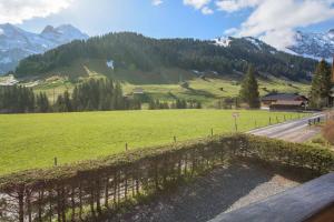 a view of a field and mountains with a fence at Chalet Happy in Adelboden