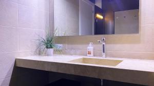 A bathroom at Apartaments y Habitacions Entre Volcans