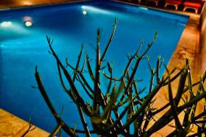 Πισίνα στο ή κοντά στο 400 year old converted farmhouse with private pool