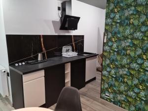 Kuchyňa alebo kuchynka v ubytovaní Eldom-Noclegi Rogozińska 29E