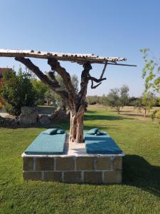Ein Garten an der Unterkunft Casa Daniele